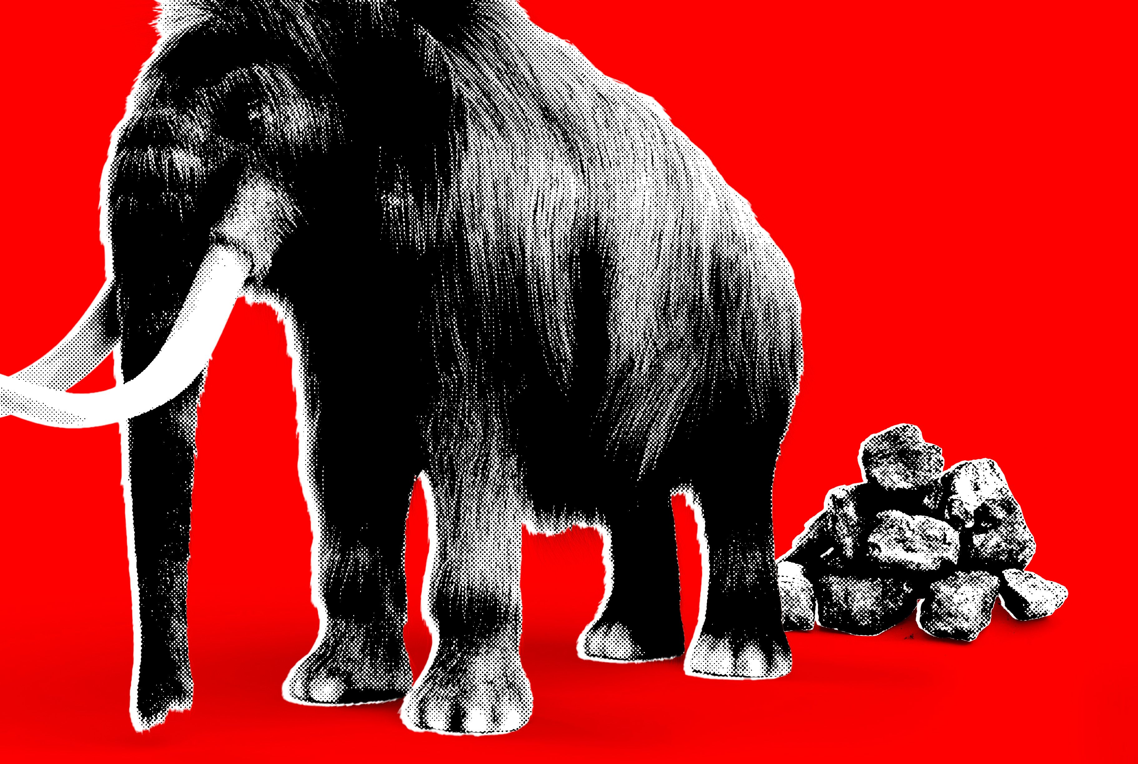 The Trump Administration Is Turning Science Against Itself